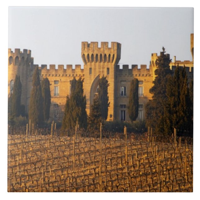 The vineyard with syrah vines and the chateau ceramic tile (Front)