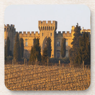 The vineyard with syrah vines and the chateau coaster
