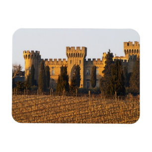 The vineyard with syrah vines and the chateau magnet