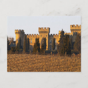 The vineyard with syrah vines and the chateau postcard