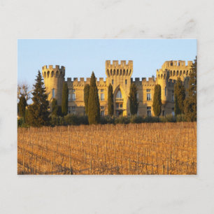 The vineyard with syrah vines and the chateau postcard