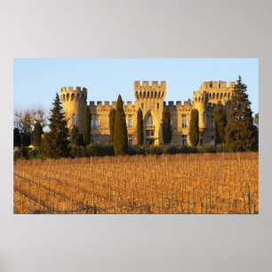 The vineyard with syrah vines and the chateau poster