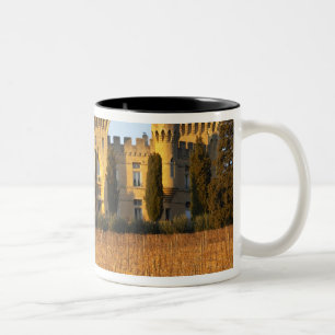 The vineyard with syrah vines and the chateau Two-Tone coffee mug