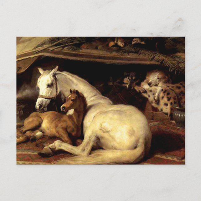 The Vintage Horse Postcard (Front)