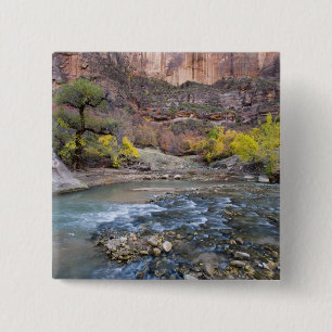 The Virgin River in autumn in Zion National Park 15 Cm Square Badge