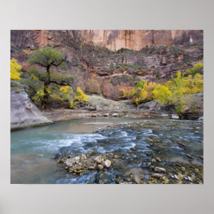 The Virgin River in autumn in Zion National Park Poster