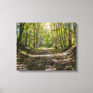 The Virginia Creeper Trail Canvas Print