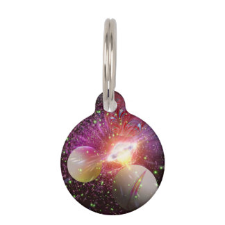 The Visitors Pet Tag