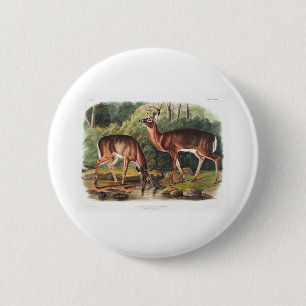 the viviparous quadrupeds by John James Audubon 6 Cm Round Badge