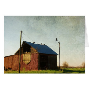 The Vultures and the Barn