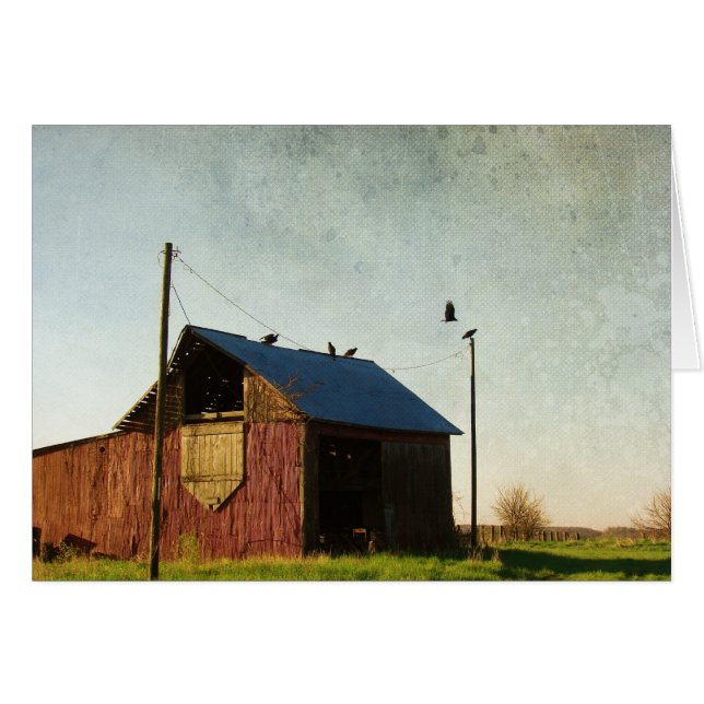 The Vultures and the Barn (Front Horizontal)