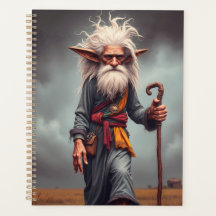 The Wandering Elf Wizard