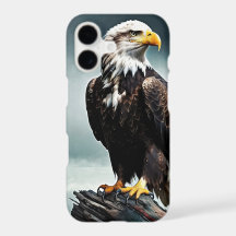 The Watch of The Eagle