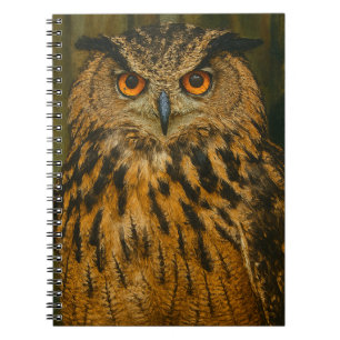 The Watcher – Eurasian Eagle-Owl in Woodland Light Notebook