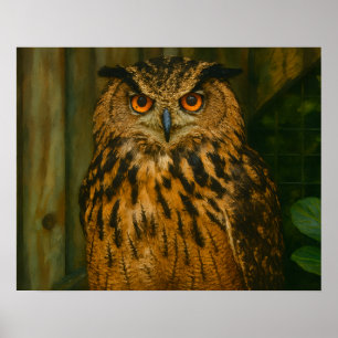 The Watcher – Eurasian Eagle-Owl in Woodland Light Poster