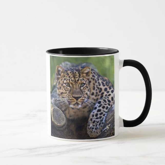 The Watcher Mug (Right)