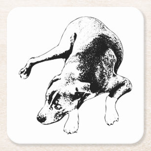The Watchful Pause Square Paper Coaster