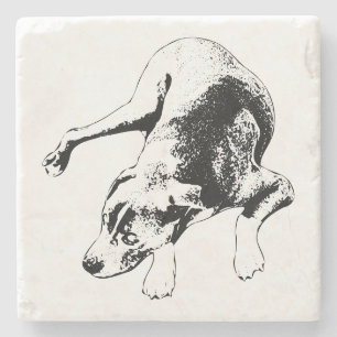 The Watchful Pause Stone Coaster
