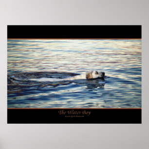 THE WATER BOY Dog Art Poster