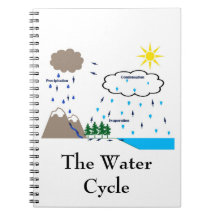 The Water Cycle Notebook