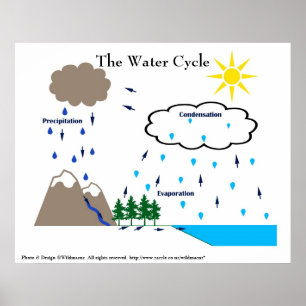 The water cycle poster