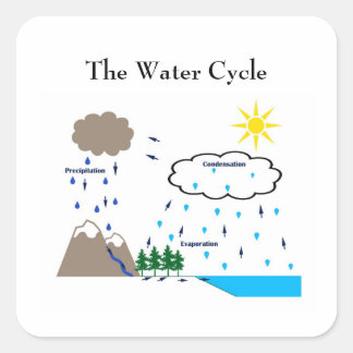 The water cycle sticker