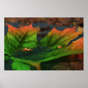 The Water Is Wide Print