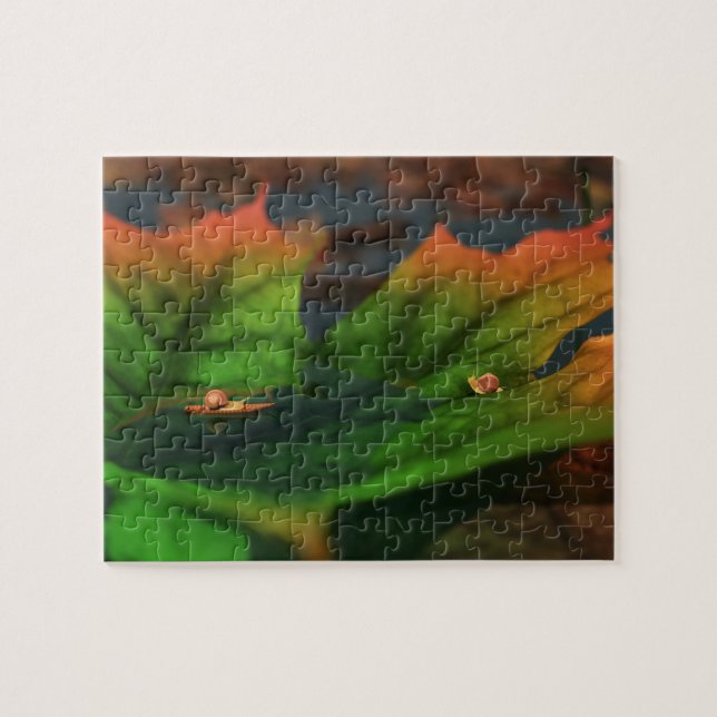 The Water Is Wide Puzzle (Horizontal)