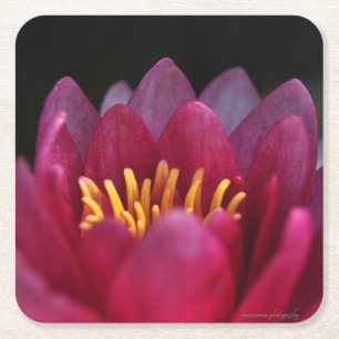 The Water Lily Square Paper Coaster