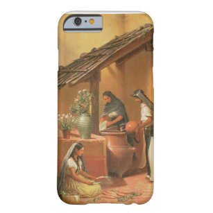 The Water Place (Tortugo) Barely There iPhone 6 Case