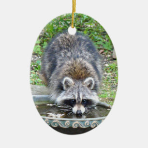 The Watering Hole - Racoon Ceramic Ornament