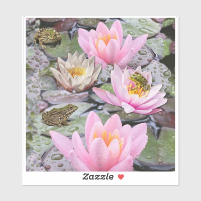 The Waterlily Pond  (Sheet)