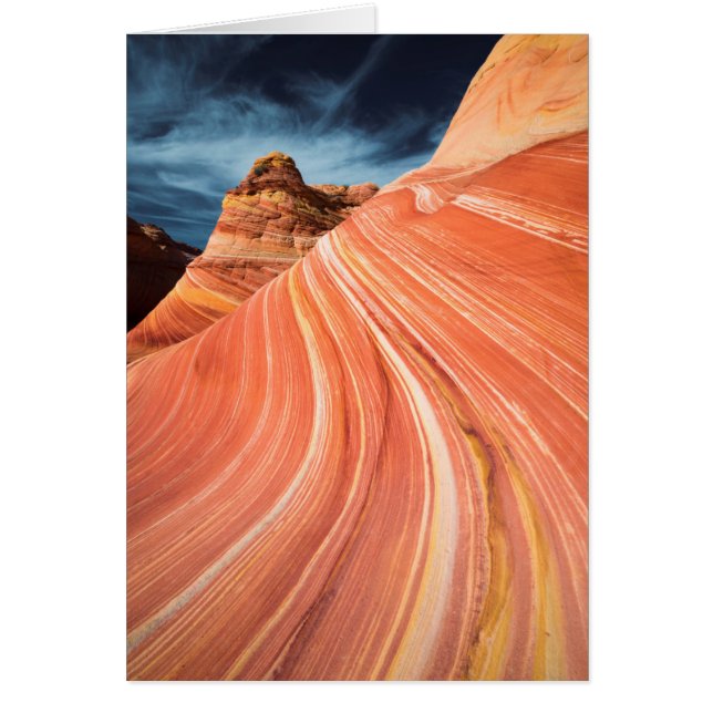 The wave, vermilion cliffs, Arizona (Front)