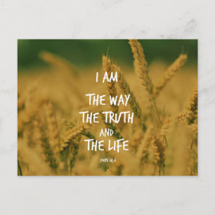 The way the Truth The Life Bible Verse Postcard