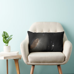 The Wayward Interstellar Object Oumuamua. Lumbar Cushion