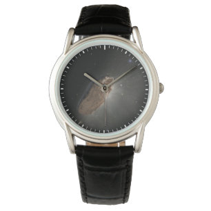 The Wayward Interstellar Object Oumuamua. Watch