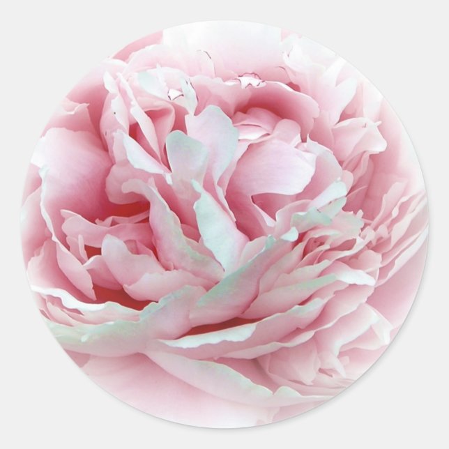 The Wedding Flower Stickers (Front)