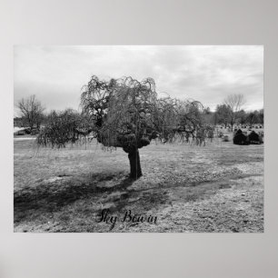 The weeping tree poster