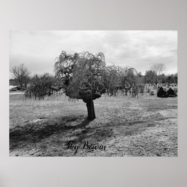 The weeping tree poster (Front)