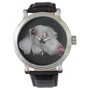 The Weimaraner Watch