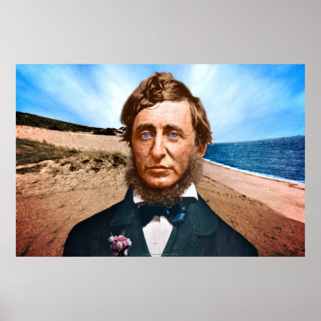 The Wellfleet Penman Poster (Front)