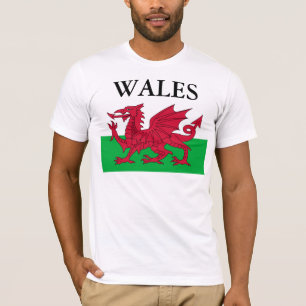 The WELSH flag T-Shirt