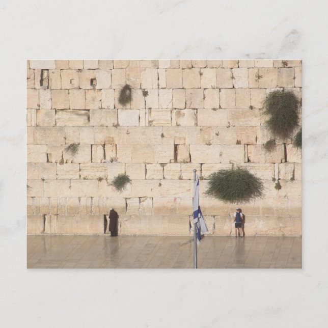 The Western Wall (Kotel), Jerusalem Postcard (Front)