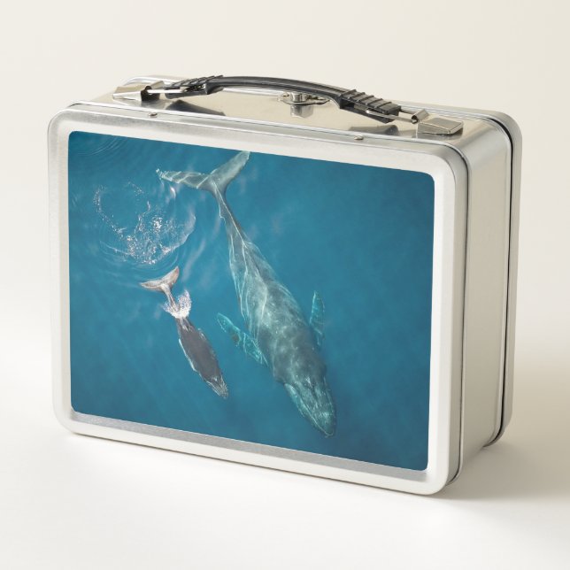 The Whales Metal Lunch Box (Back)