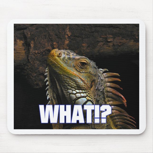 The What!? Iguana Mouse Pad (Front)