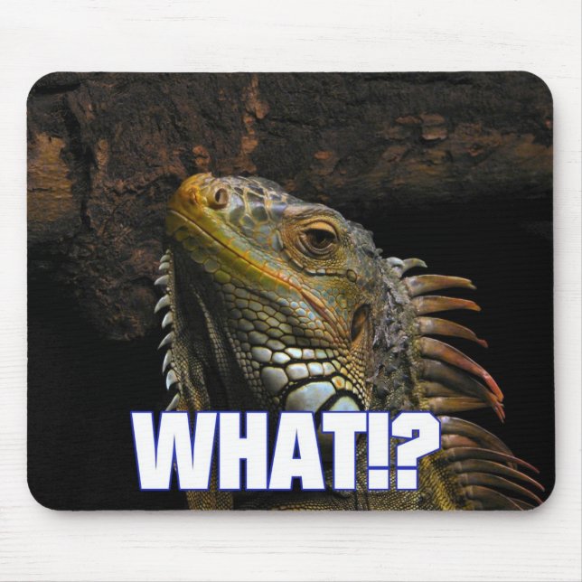 The What!? Iguana Mouse Pad (Front)