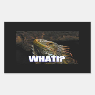 The What!? Iguana Rectangular Sticker