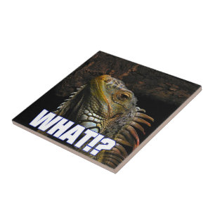 The What!? Iguana Tile