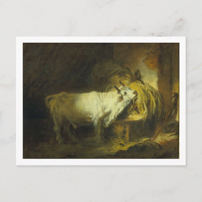 The White Bull in the Stable (oil on canvas) Postcard (Front)