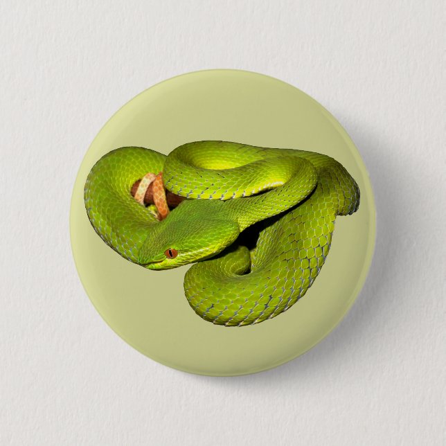 The white-lipped pit viper 6 cm round badge (Front)